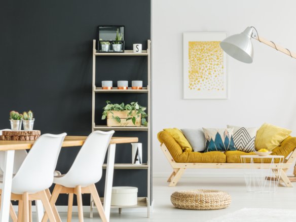 plants on shelves
